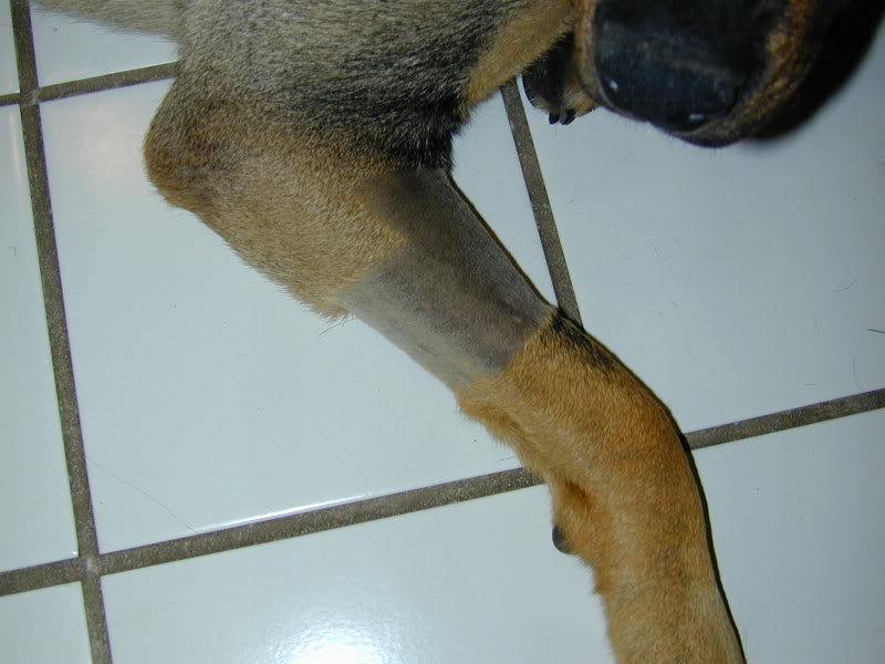 Name:  DSCN0050.jpg
Views: 15
Size:  56.0 KB