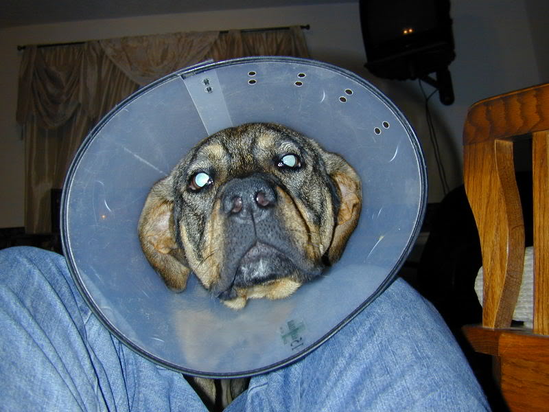 Name:  DSCN0055.jpg
Views: 15
Size:  79.2 KB