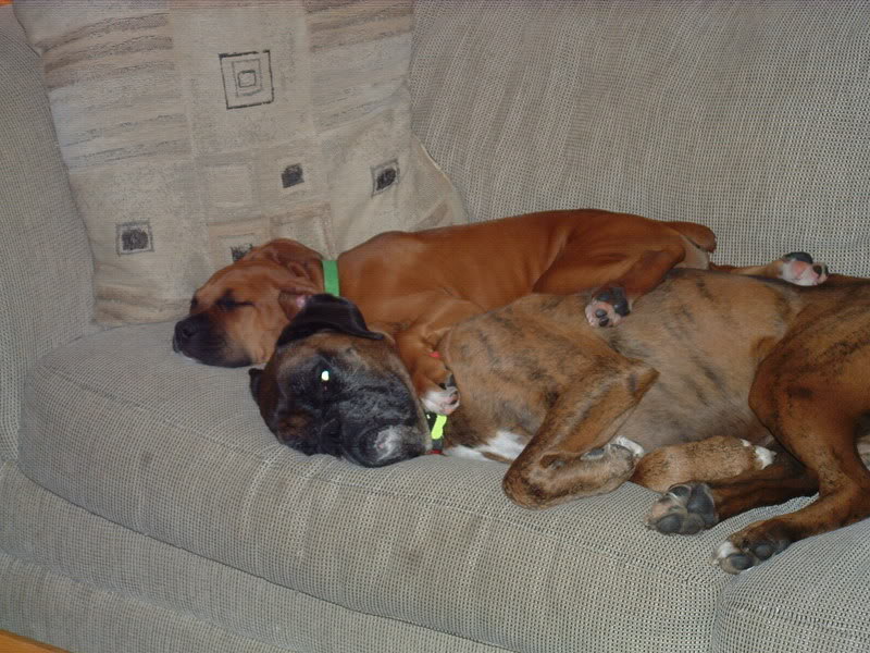 Name:  DSCF0025.jpg
Views: 16
Size:  106.7 KB
