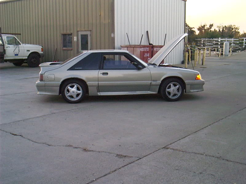 Name:  IMAG0099.jpg
Views: 23
Size:  76.2 KB