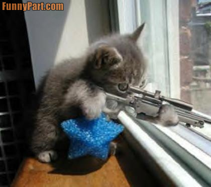 Name:  FunnyPart-com-kitty_sniper.png
Views: 17
Size:  183.7 KB