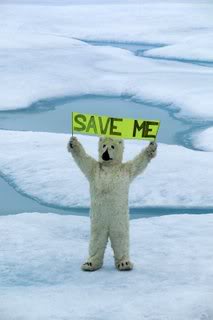 Name:  polar-bear-save-765729.jpg
Views: 11
Size:  9.0 KB