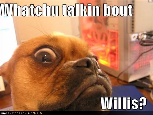 Name:  funny-dog-pictures-dog-asks-you-wha.jpg
Views: 24
Size:  30.7 KB