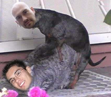 Name:  CATmandoggystyle.jpg
Views: 21
Size:  23.4 KB
