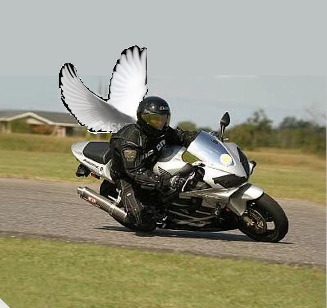 Name:  Wingedkneedragger.jpg
Views: 21
Size:  43.7 KB