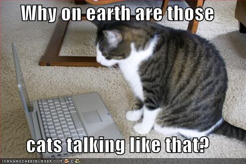 Name:  funny-pictures-offended-cat-laptop.jpg
Views: 21
Size:  36.6 KB
