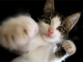 Name:  2e6c90e3e143faa7072a91c3ac942dd5.gif
Views: 19
Size:  57.2 KB