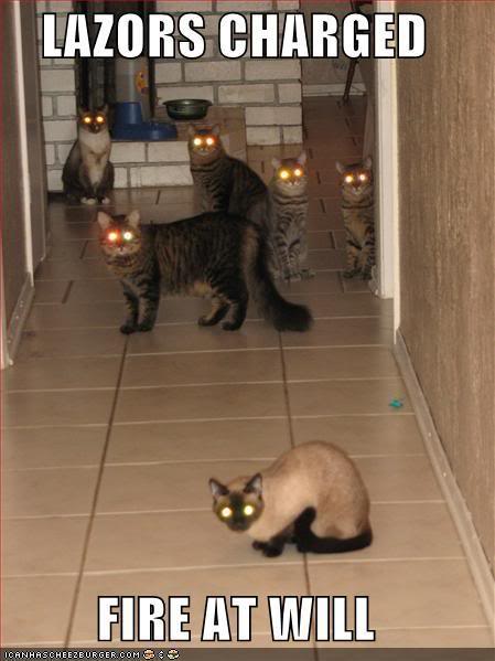 Name:  lasers-charged-cats.jpg
Views: 15
Size:  37.1 KB