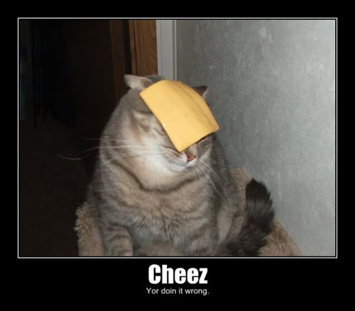 Name:  cheez_doing_it_wrong-1.jpg
Views: 14
Size:  24.9 KB