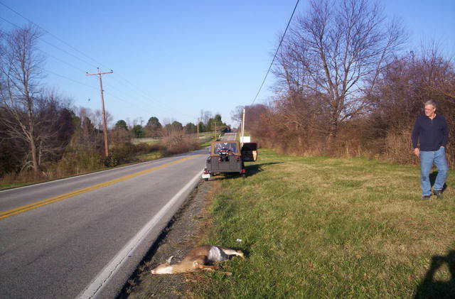 Name:  000_0313.jpg
Views: 19
Size:  50.9 KB