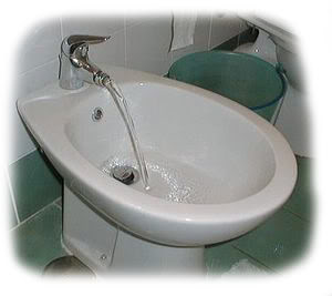 Name:  Bidet_standard.jpg
Views: 12
Size:  11.4 KB