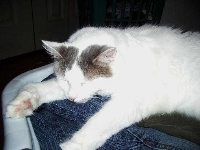 Name:  Picture026.jpg
Views: 20
Size:  47.1 KB