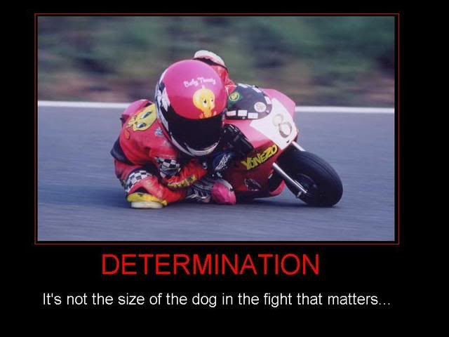 Name:  Determination.jpg
Views: 229
Size:  31.2 KB