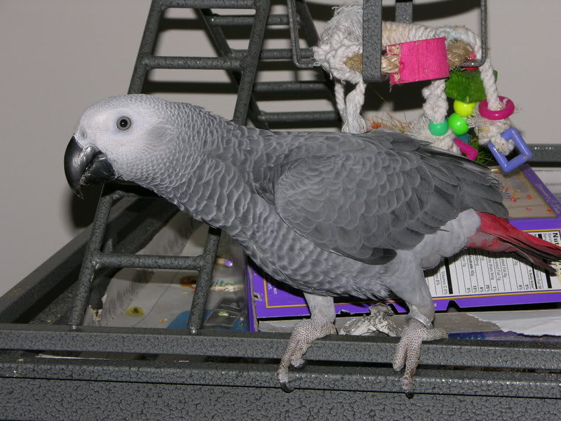 Name:  DSCN0714.jpg
Views: 14
Size:  97.8 KB