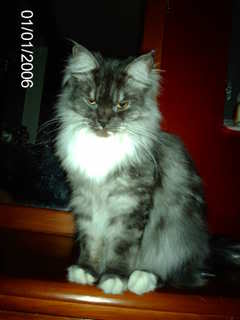 Name:  Picture001-1.jpg
Views: 12
Size:  16.6 KB