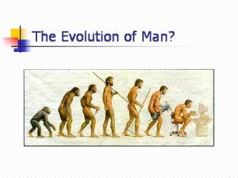 Name:  evolution2.jpg
Views: 15
Size:  16.9 KB