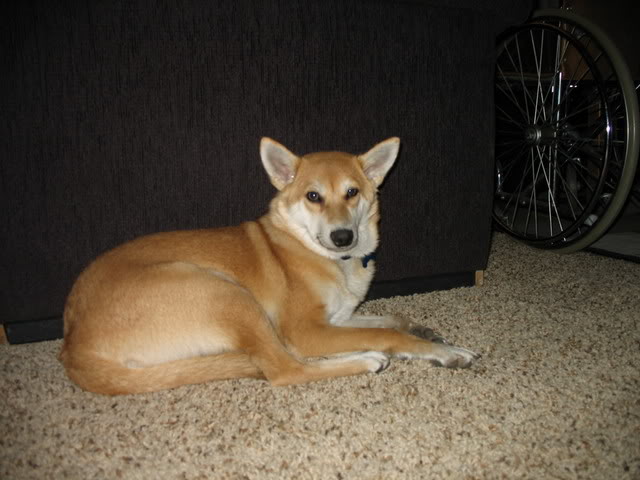 Name:  IMG_1379.jpg
Views: 22
Size:  53.1 KB