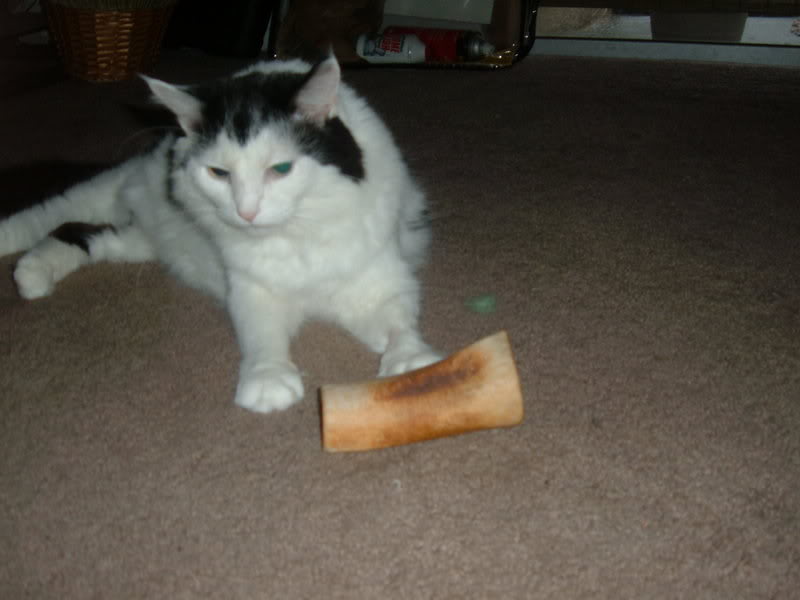 Name:  Picture033.jpg
Views: 27
Size:  42.0 KB