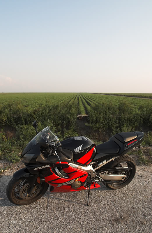 Name:  Picture043.jpg
Views: 118
Size:  104.1 KB