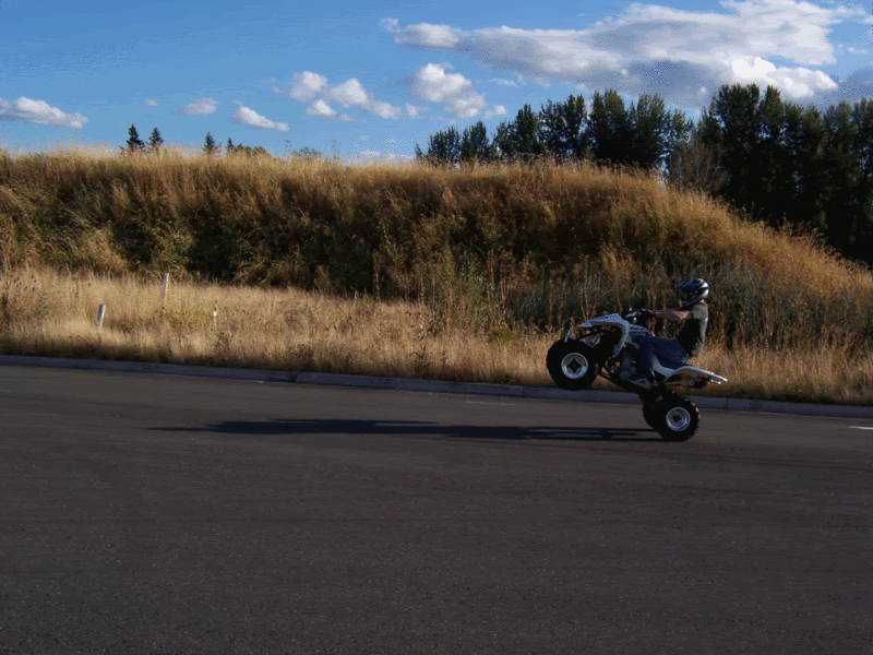 Name:  Wheelie.gif
Views: 50
Size:  239.5 KB