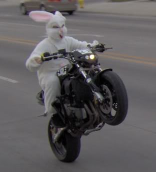 Name:  bunnywheelie1.jpg
Views: 6
Size:  11.0 KB