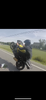 Bluntsi's Avatar