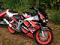 reddog952